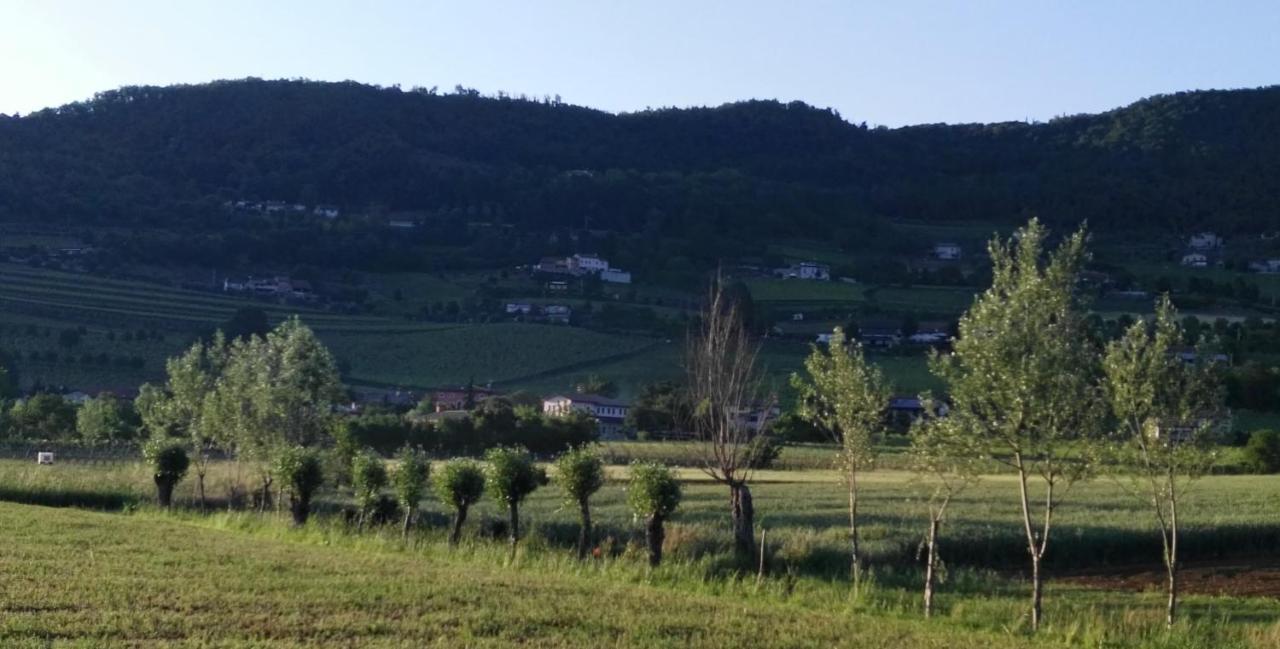 La Pergola Alloggio Brendola Buitenkant foto